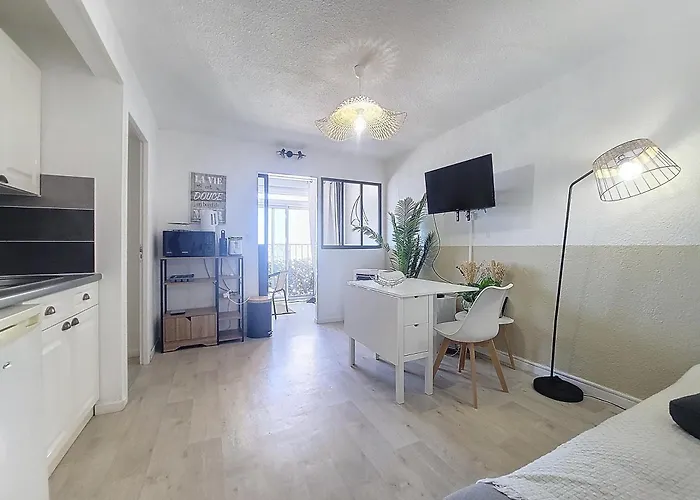 Apartman Vue Imprenable Sur Le Port -clim- Moderne Agde