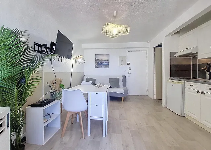 Vue Imprenable Sur Le Port -clim- Moderne Agde